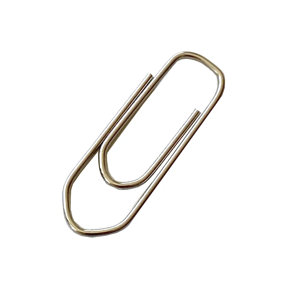 Nickel Paperclips by Leone Dellera